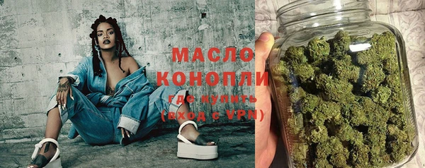 индика Медногорск