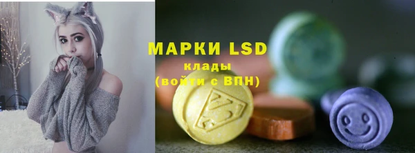 индика Медногорск