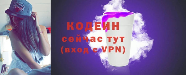 индика Медногорск