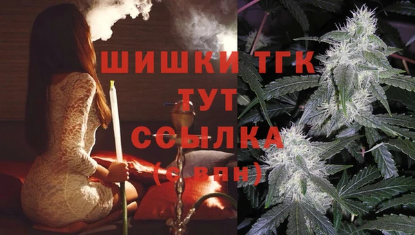 Альфа ПВП Медвежьегорск