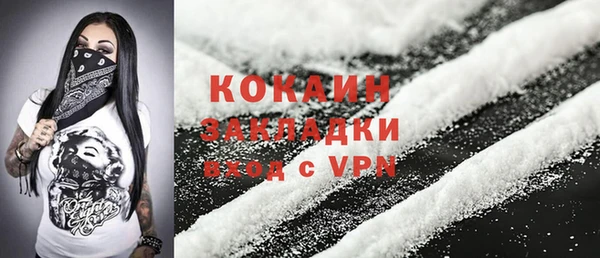 индика Медногорск