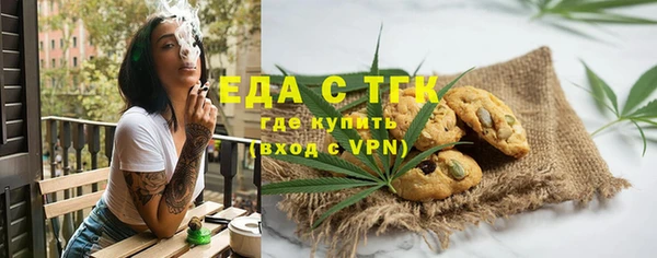 индика Медногорск