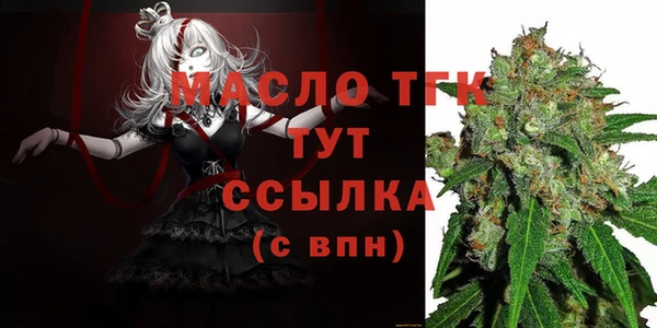индика Медногорск