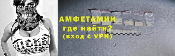 индика Медногорск