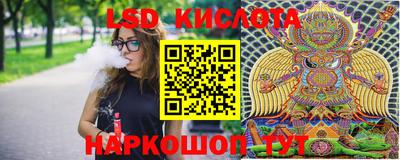 гидропоника Краснознаменск