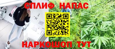 гидропоника Краснознаменск