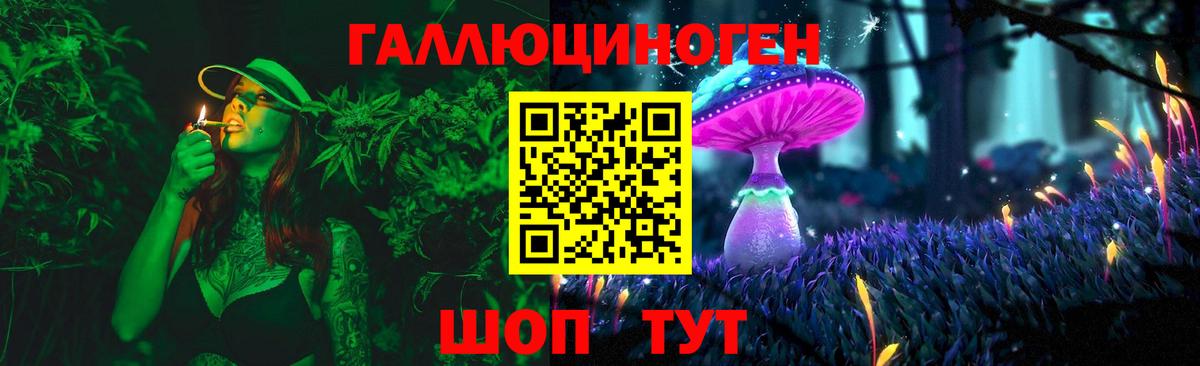 Галлюциногенные грибы Psilocybe  Псилоцибиновые грибы прущие грибы  Троицк  Вход с VPN 